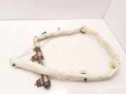 SRS Modul Dach links FIAT BRAVO II (198_) 1.6 D Multijet 517510920 8R080740301