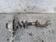 Stoßdämpfer vorne rechts AUDI A4 (8K2, B8) 2.0 TDI 8K0413031AF