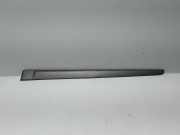 Türverkleidung links Renault Laguna II (G) 8200036022