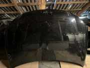 Motorhaube VW EOS (1F7, 1F8) 2.0 TDI