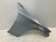 Kotflügel vorne links