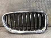 Gitter BMW 5 (F10) 530 d 7412324