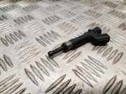 Einspritzdüse NISSAN JUKE (F15) 1.6 166001KT0A