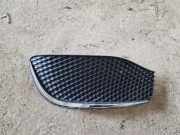 Gitter vorne unten MERCEDES-BENZ E (W213) E 220 d (213.004) A2138850900