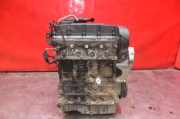 Motor ohne Anbauteile (Benzin) Skoda Octavia II Kombi (1Z) BKD