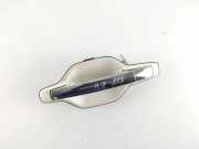 Türaußengriff hinten links HYUNDAI EQUUS / CENTENNIAL (JS) 4.5