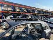 Dach AUDI Q7 (4M) 3.0 TFSI quattro