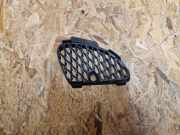 Ziergitter Jaguar F-Type Coupe (QQ6) EX538A411