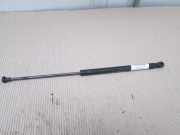 Heckklappendämpfer links Seat Ibiza III (6L)