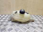 Ausgleichsbehälter RENAULT MASTER III Furgon (FV) 2.3 dCi 100 [RWD] (FV0B, FV0C, FV0D) 217100015R