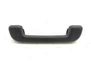 Griff Panoramadach Renault Avantime (DE)