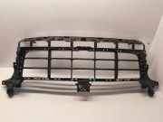 Gitter PORSCHE CAYENNE (9Y0/9Y3) 3.0 AWD 9Y0807683AA