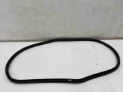 Türdichtung Mini Mini Clubman (F54)