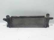 Ladeluftkühler RENAULT KANGOO (KC0/1_) 1.9 dCi 4x4 (KC0V) 8200140970