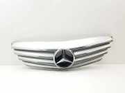 Vorderer oberer Gitter MERCEDES-BENZ B (W245) B 180 CDI (245.207) 235100001