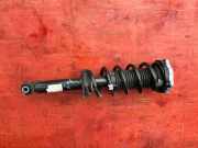 Stoßdämpfer links hinten BMW X3 (G01, F97) 6871801