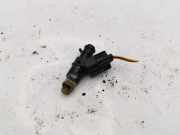 Düsenstöcke Honda Insight (ZE) YF08BASY