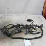 Kabelbaum Hinteren Parksensoren OPEL INSIGNIA A Estate (G09) 1.6 CDTi (35) 39135130