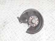 Radlagergehäuse rechts hinten VW Passat B7 (362) 3C0505436F