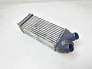 Ladeluftkühler Citroen Xsara Picasso (N68) 9645965180