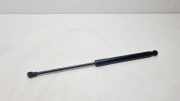 Gasfeder für Motorhaube Alfa Romeo Giulia (952) 50543487