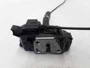 Türschloss links RENAULT SCÉNIC III (JZ0/1_) 1.9 dCi (JM14) 825030004R