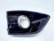 Gitter Grill vorne rechts FORD C-MAX II (DXA/CB7, DXA/CEU) 1.6 TDCi AM51-R19552BAW