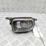 Nebelscheinwerfer links MERCEDES-BENZ SL (R230) 500 (230.475) A2038201156