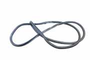 Türgummi links vorne Lexus RX 4 (L2)