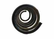 Feder links hinten Hyundai Santa Fe III (DM)