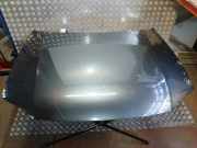 Motorhaube VW Passat B5 (3B2) 3C0823155