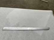 Türverkleidung links hinten VW Touran (1T1, 1T2) 1T0853753H