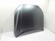Motorhaube Volvo XC60 II (246) 31424557
