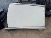 Dach MERCEDES-BENZ A (W177) A 200 (177.087)