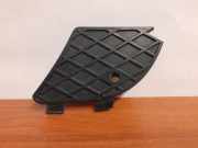 Kühlergrill unten Mercedes-Benz E-Klasse (W210) 2108850153