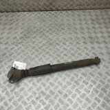 Stoßdämpfer links hinten Audi A4 Allroad (8W, B9) 8W9513028D