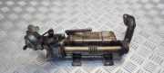 AGR-Kühler LEXUS IS II (GSE2_, ALE2_, USE2_) 220d (ALE20) 13063690000