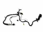 Türverkabelung hinten links RENAULT MEGANE II Estate (KM0/1_) 1.9 dCi 8200217371