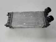 Ladeluftkühler Citroen Berlingo II Multispace (B9) 9684212480