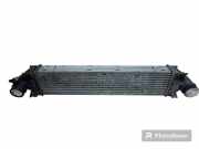 Ladeluftkühler VOLVO V70 III (BW) 2.5 T 6G9N12B676AB