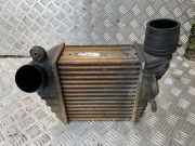Ladeluftkühler VW GOLF IV (1J1) 1.9 TDI 1J0145805