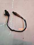Sauerstoffsensor (Lambdasensor) FORD TRANSIT Furgon 2.2 TDCi [RWD] AB3A9Y460AA