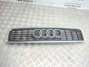 Kühlergrill oben Audi A4 (8E, B7)