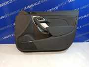 Türpolster vorne rechts SAAB 9-5 (YS3G) 2.0 TiD 317246 B1146747