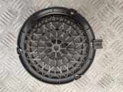 Türlautsprecher vorne links