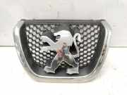 Vorderer oberer Gitter PEUGEOT 607 (9D, 9U) 2.7 HDi 24V 9649004577