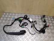 Kabel Tür Volvo XC60 II (246) 31254912