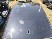 Dach mit Sonnendachausschnitt Audi A7 Sportback (4G)