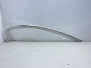 Türverkleidung rechts hinten BMW 5er (F10) 0804112