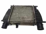 Ladeluftkühler Renault Clio III (BR0/1, CR0/1) 8200471885